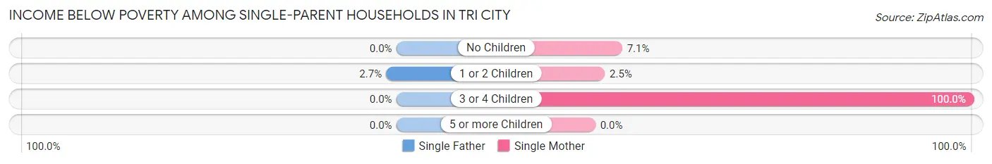 Income Below Poverty Among Single-Parent Households in Tri City