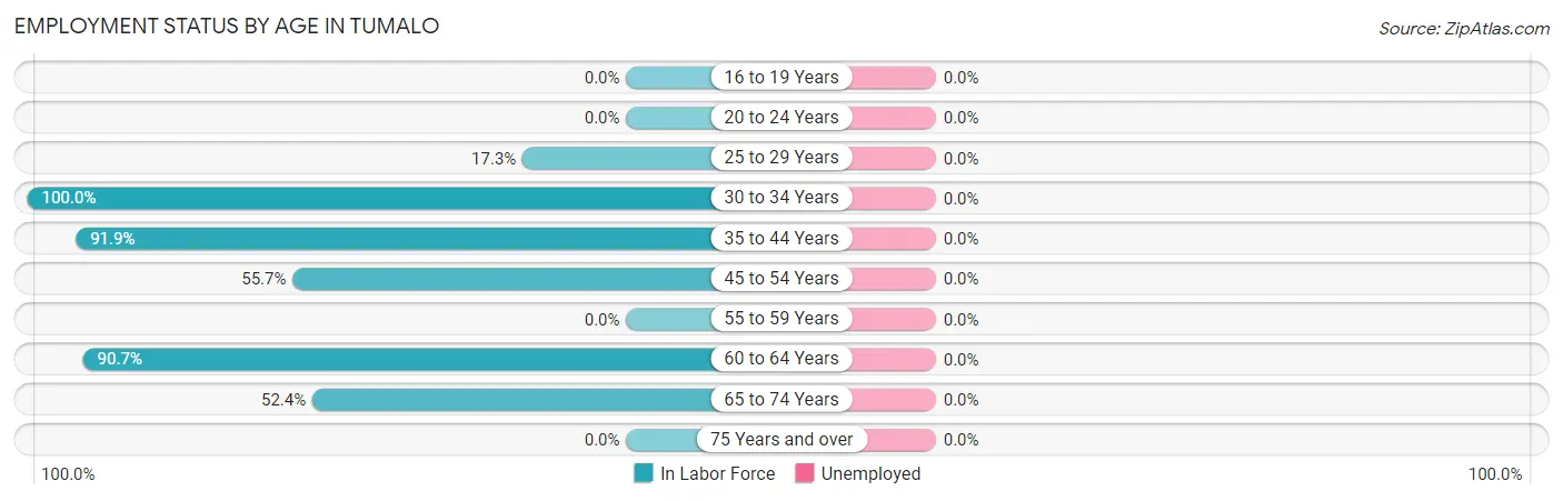 Employment Status by Age in Tumalo