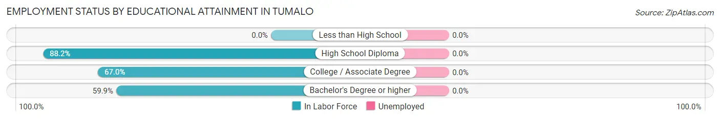 Employment Status by Educational Attainment in Tumalo