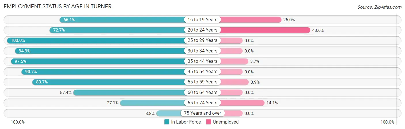 Employment Status by Age in Turner