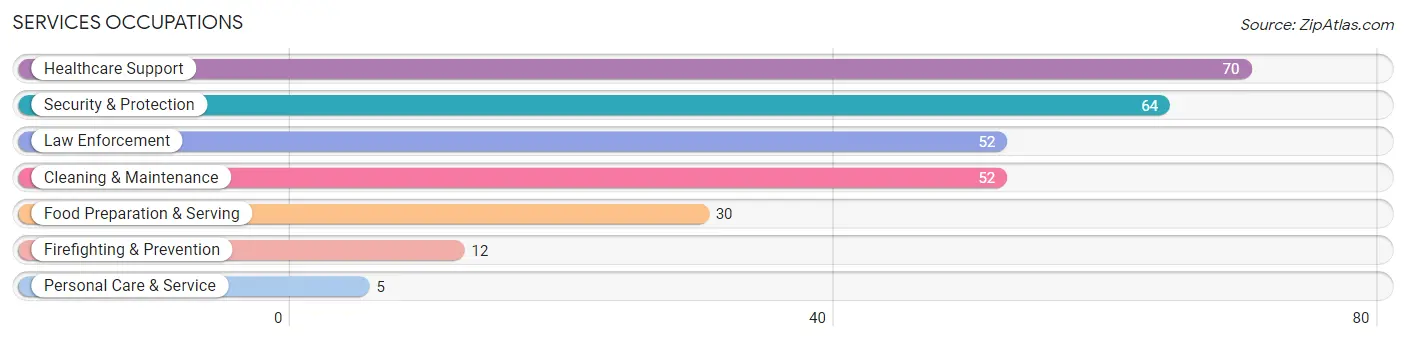 Services Occupations in Turner