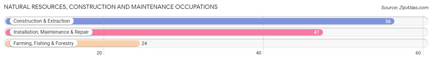 Natural Resources, Construction and Maintenance Occupations in Vale