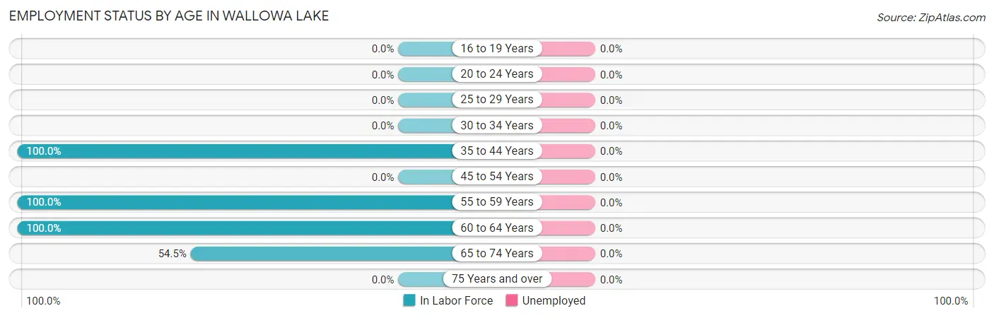 Employment Status by Age in Wallowa Lake
