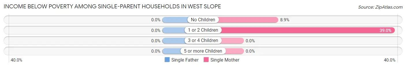 Income Below Poverty Among Single-Parent Households in West Slope