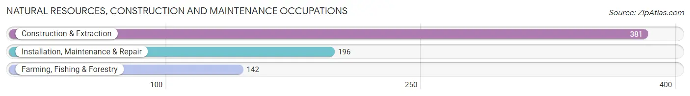 Natural Resources, Construction and Maintenance Occupations in White City