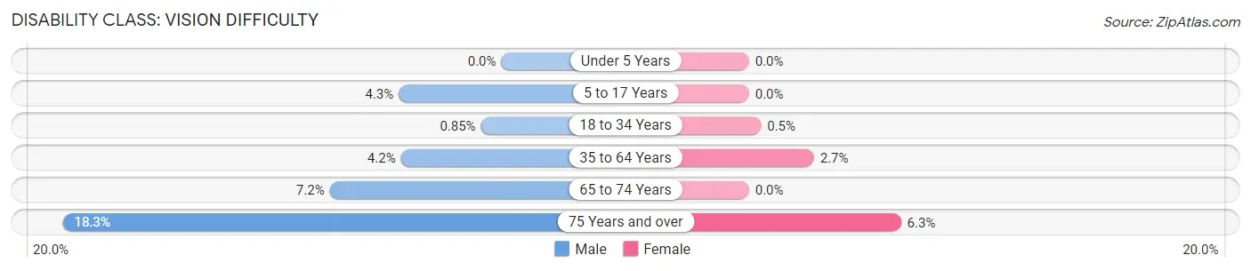 Disability in White City: <span>Vision Difficulty</span>