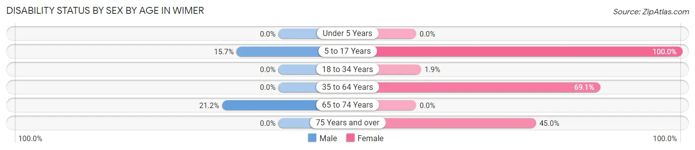 Disability Status by Sex by Age in Wimer