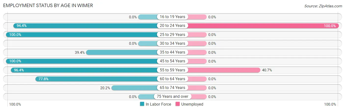 Employment Status by Age in Wimer