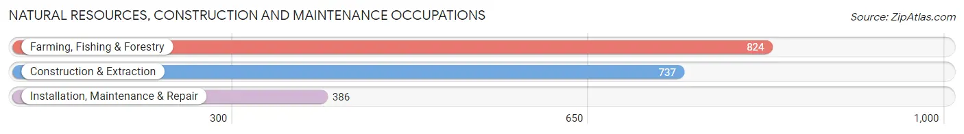 Natural Resources, Construction and Maintenance Occupations in Woodburn