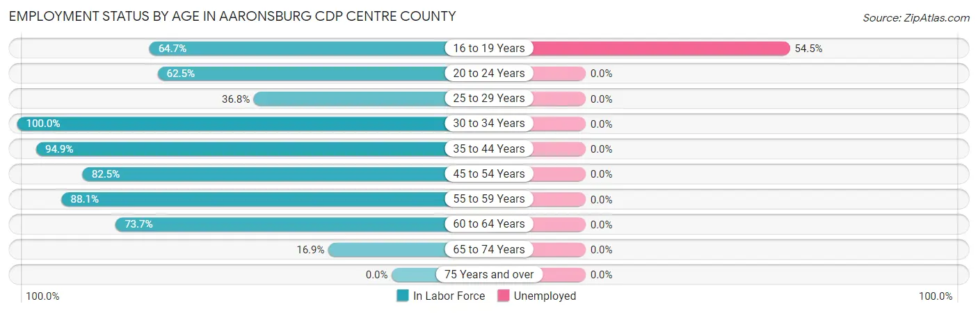 Employment Status by Age in Aaronsburg CDP Centre County
