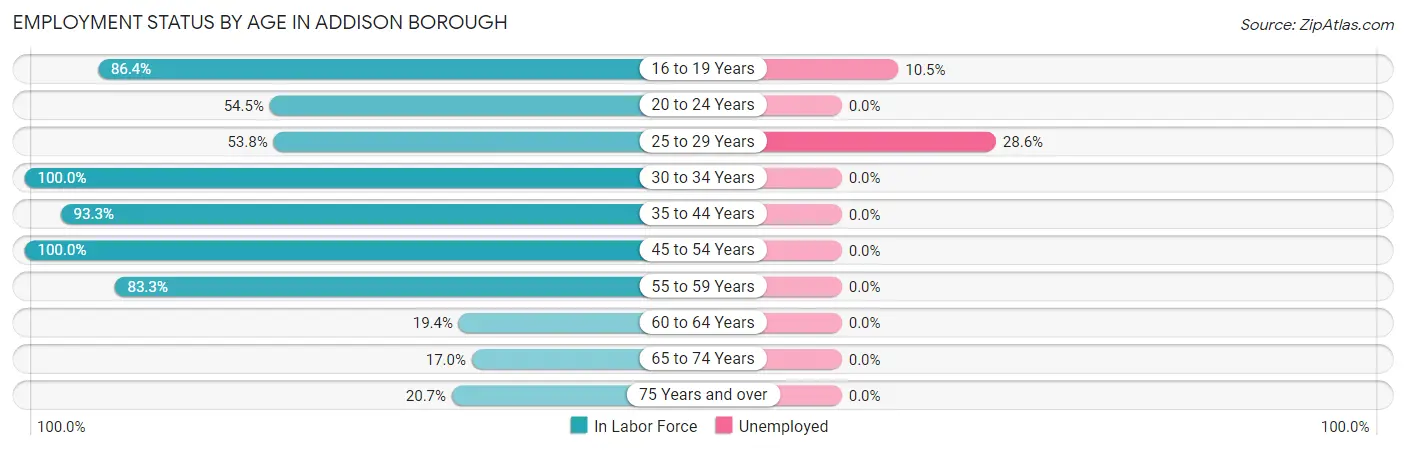 Employment Status by Age in Addison borough