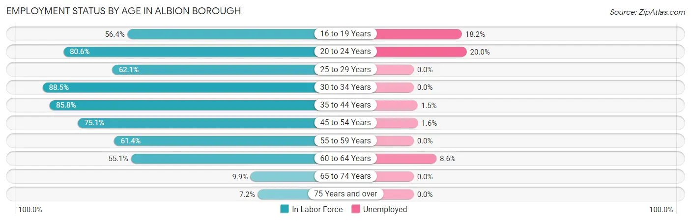 Employment Status by Age in Albion borough