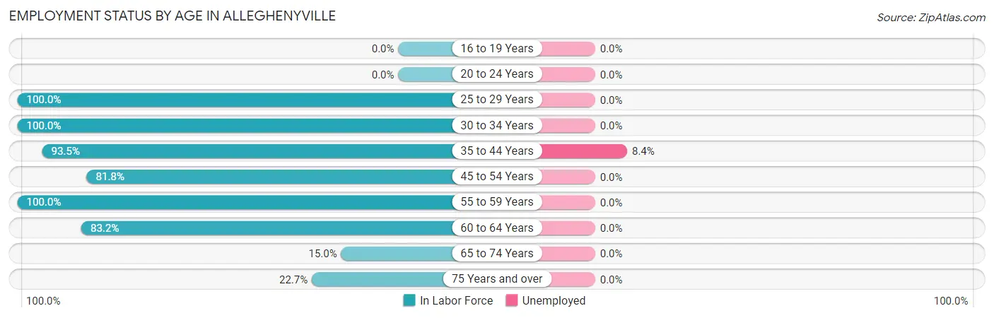 Employment Status by Age in Alleghenyville