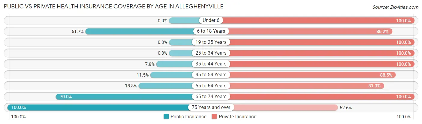 Public vs Private Health Insurance Coverage by Age in Alleghenyville