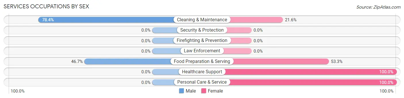 Services Occupations by Sex in Allenport borough