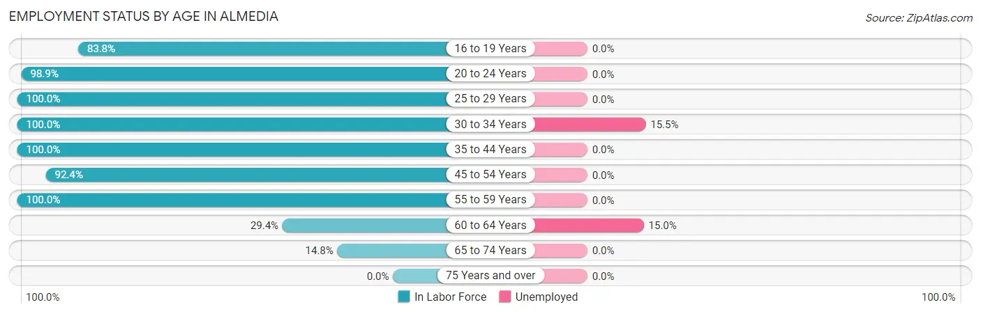 Employment Status by Age in Almedia