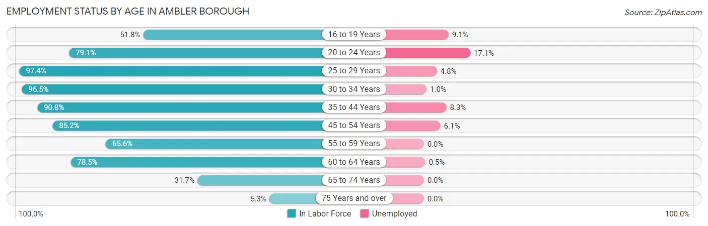 Employment Status by Age in Ambler borough