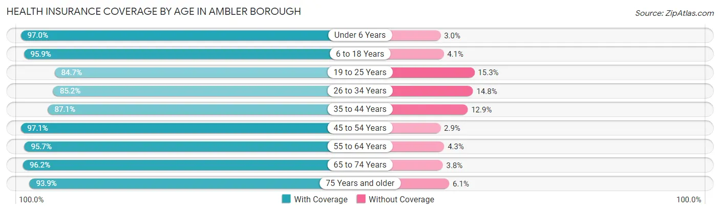 Health Insurance Coverage by Age in Ambler borough