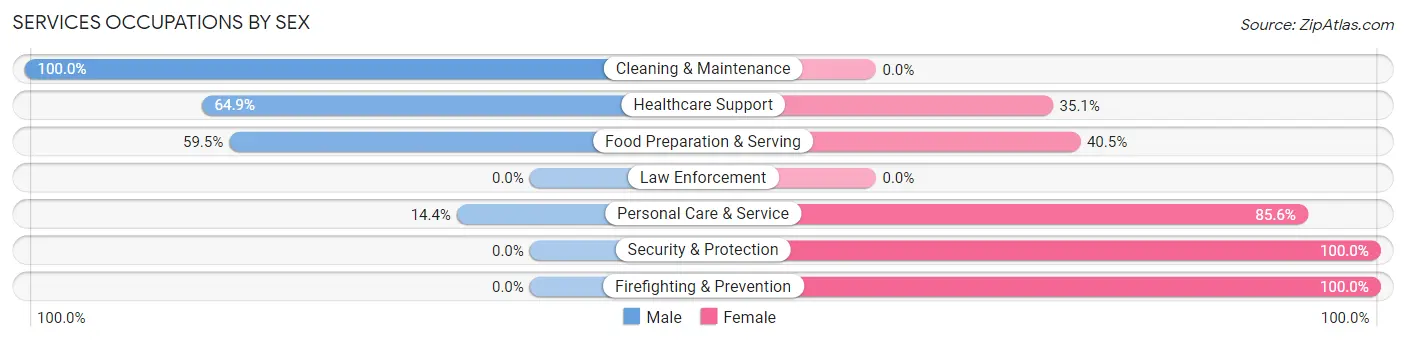 Services Occupations by Sex in Ambler borough