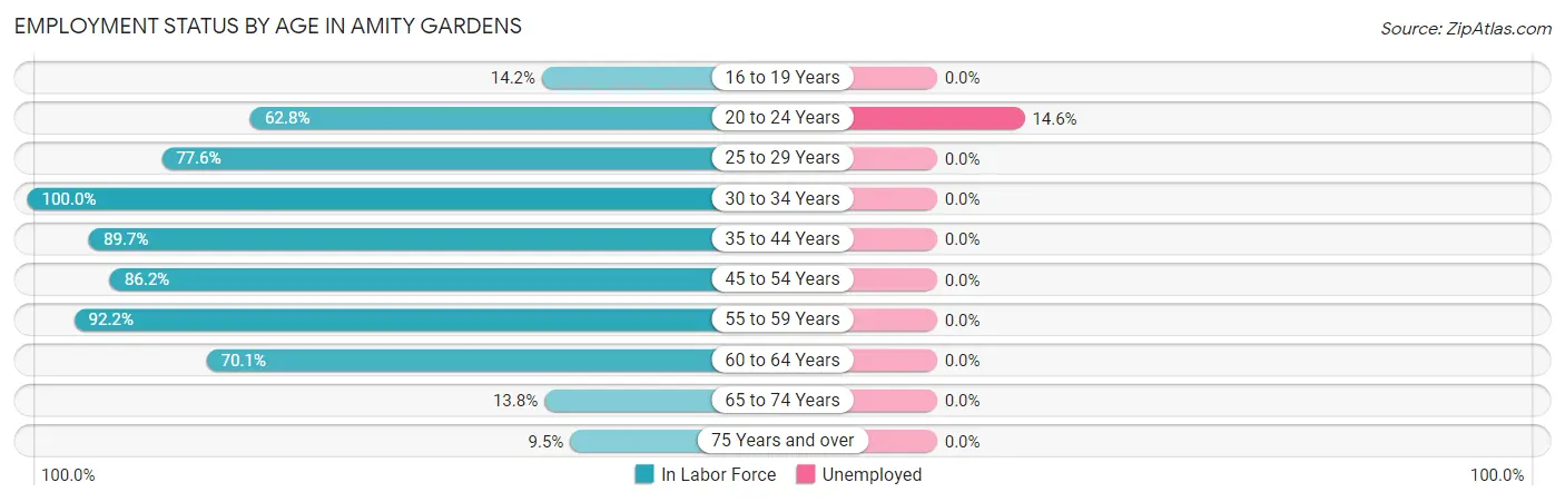 Employment Status by Age in Amity Gardens