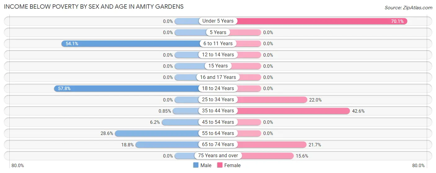Income Below Poverty by Sex and Age in Amity Gardens