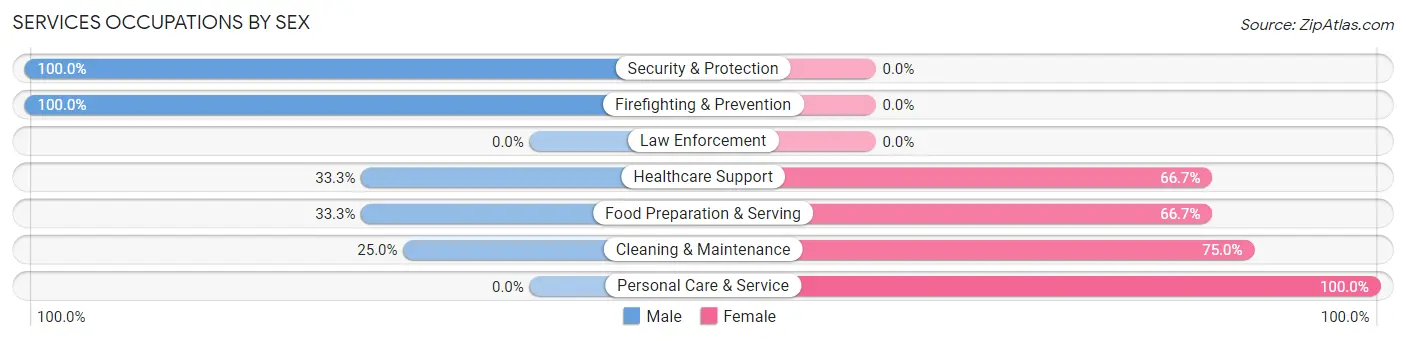 Services Occupations by Sex in Applewold borough