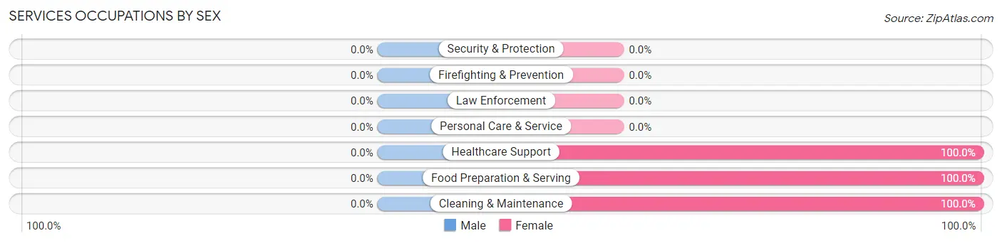 Services Occupations by Sex in Armagh borough