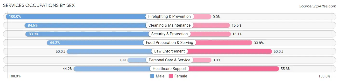 Services Occupations by Sex in Ashley borough