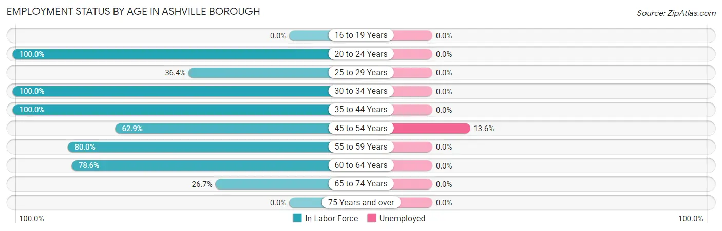 Employment Status by Age in Ashville borough