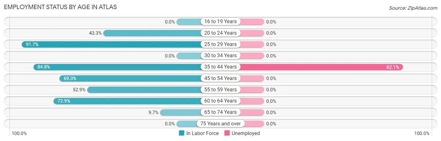 Employment Status by Age in Atlas