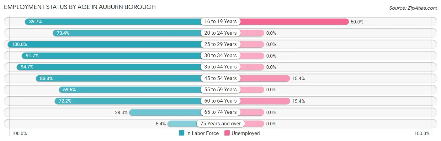 Employment Status by Age in Auburn borough
