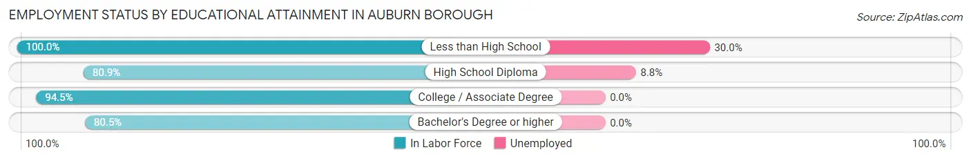 Employment Status by Educational Attainment in Auburn borough