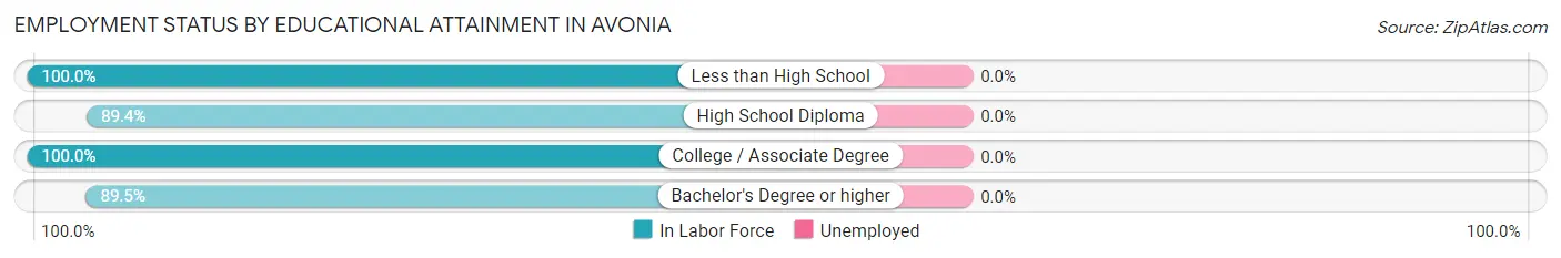 Employment Status by Educational Attainment in Avonia