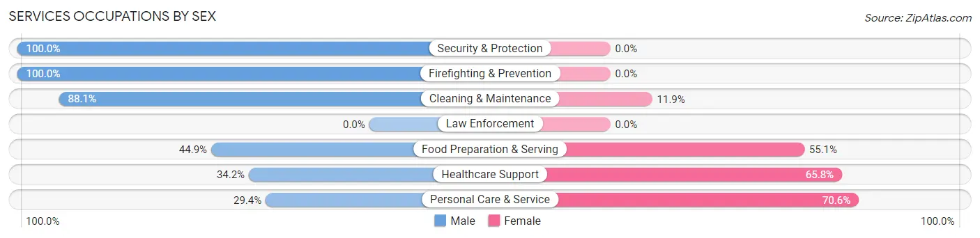 Services Occupations by Sex in Baden borough