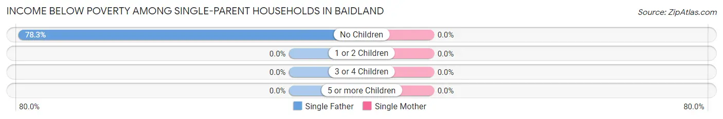 Income Below Poverty Among Single-Parent Households in Baidland