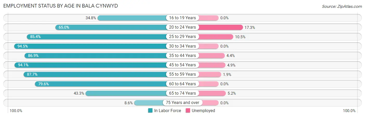 Employment Status by Age in Bala Cynwyd