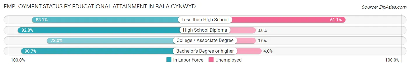 Employment Status by Educational Attainment in Bala Cynwyd