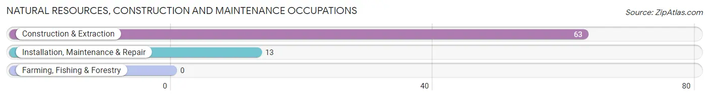 Natural Resources, Construction and Maintenance Occupations in Bath borough