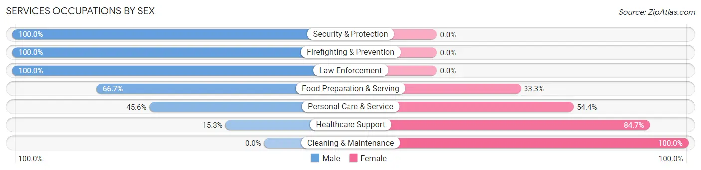 Services Occupations by Sex in Bath borough