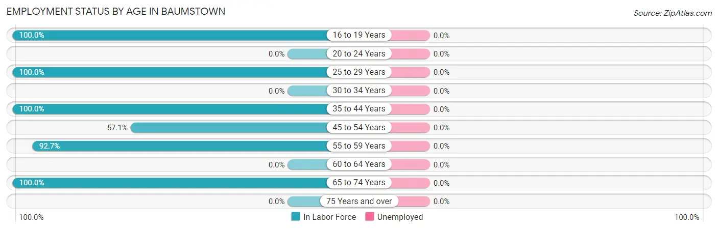 Employment Status by Age in Baumstown