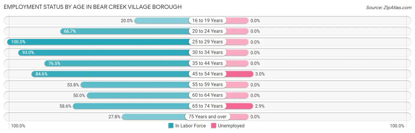 Employment Status by Age in Bear Creek Village borough
