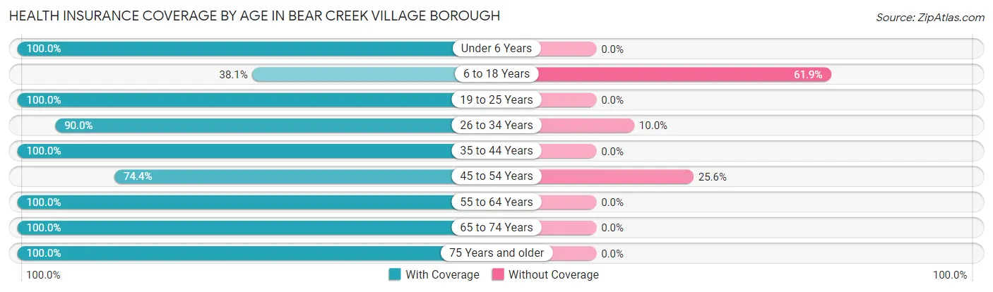 Health Insurance Coverage by Age in Bear Creek Village borough