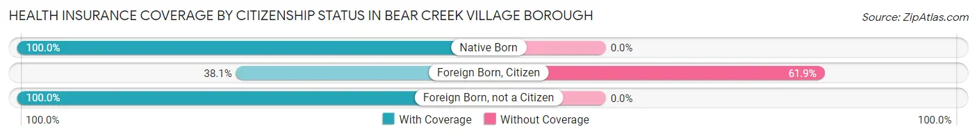 Health Insurance Coverage by Citizenship Status in Bear Creek Village borough