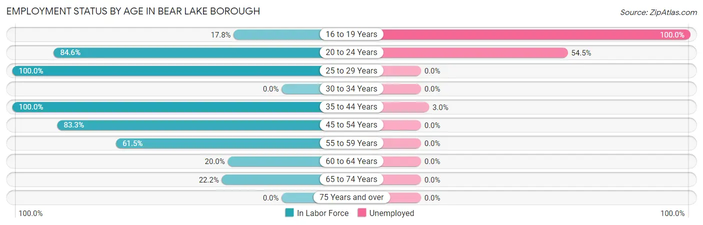 Employment Status by Age in Bear Lake borough