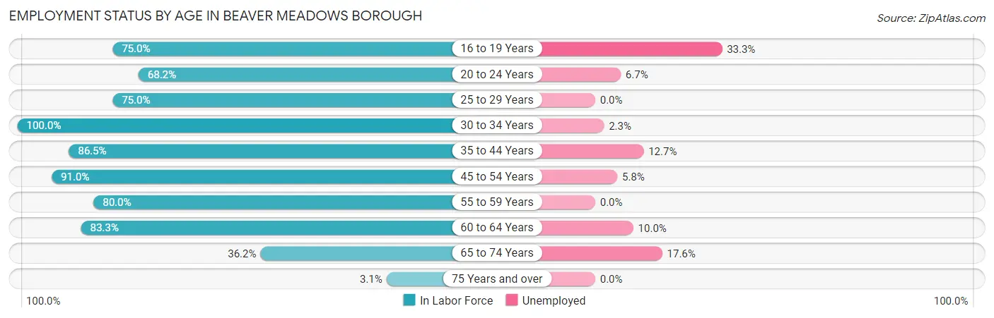 Employment Status by Age in Beaver Meadows borough
