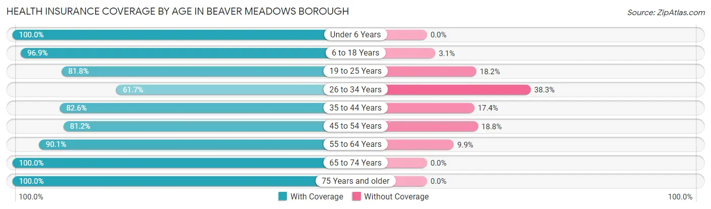 Health Insurance Coverage by Age in Beaver Meadows borough