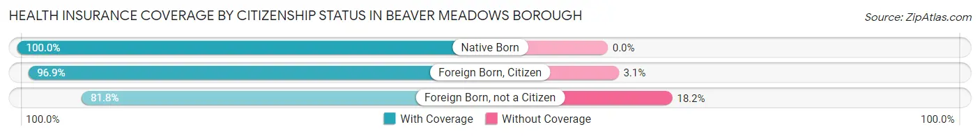 Health Insurance Coverage by Citizenship Status in Beaver Meadows borough
