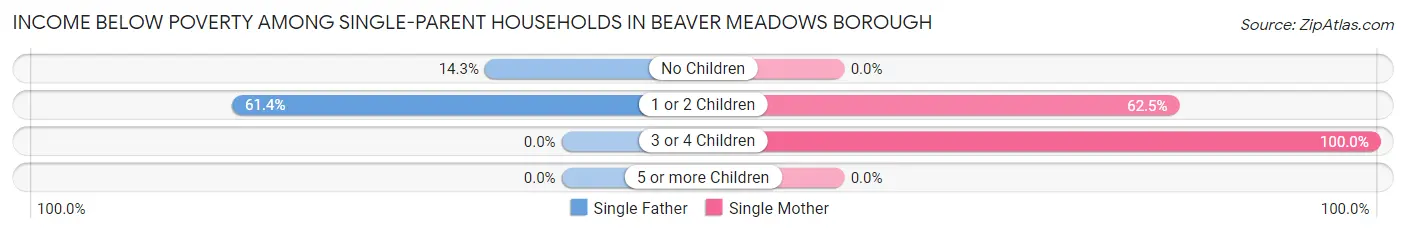 Income Below Poverty Among Single-Parent Households in Beaver Meadows borough