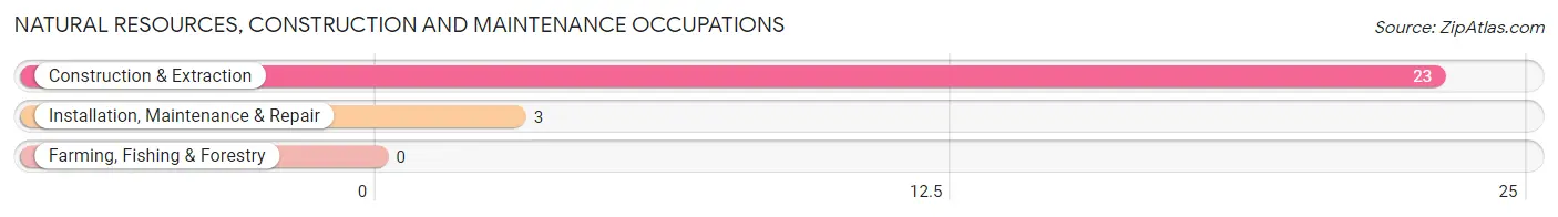 Natural Resources, Construction and Maintenance Occupations in Beaver Springs