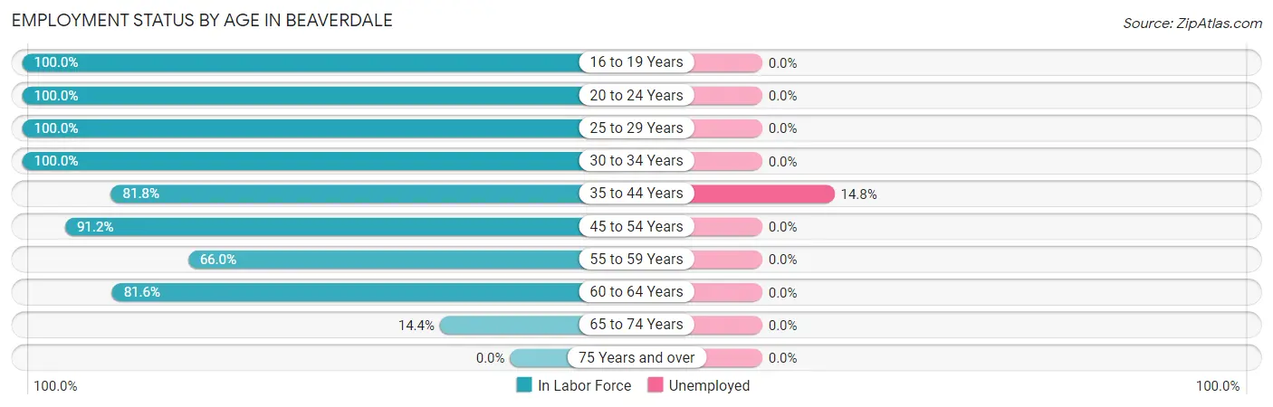 Employment Status by Age in Beaverdale